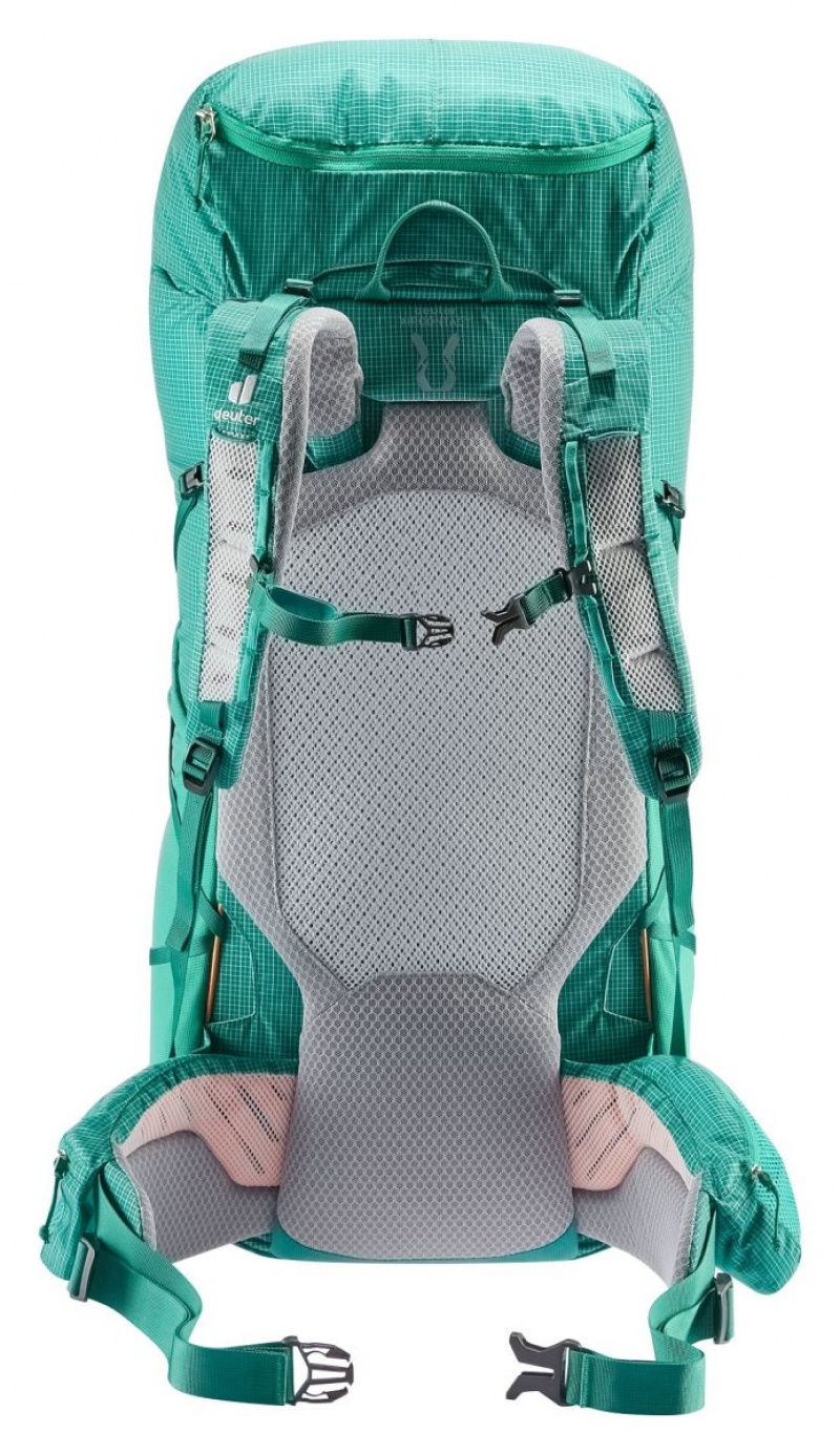 Sac à Dos De Montagne Deuter Randonnée backpack Aircontact Ultra 50+5 Fern-alpinegreen | FXV-9990761